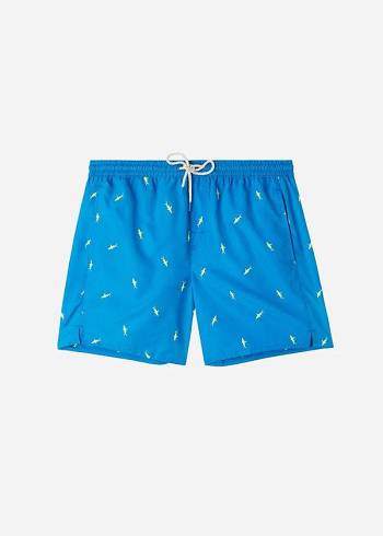 Trunchi De Baie Calzedonia Formentera Barbati Albastri Gri | RO2939WY